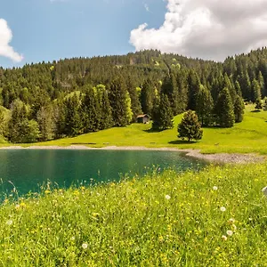 Waldhorn Jungholz